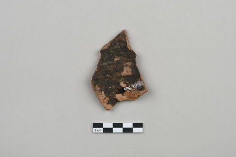 ostracon, image 2/3