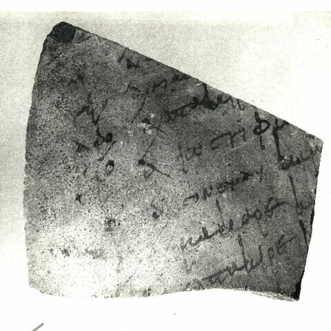 ostracon, image 1/1