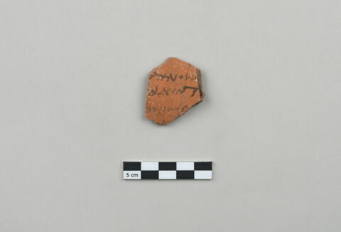 ostracon, image 1/2