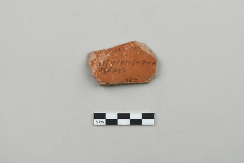 ostracon, image 1/3
