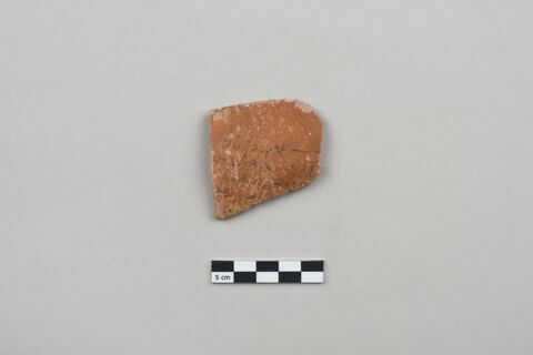 ostracon, image 1/3