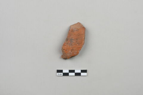 ostracon, image 2/4