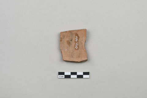ostracon, image 2/4