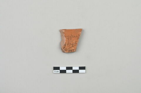 ostracon, image 1/3