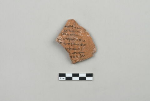 ostracon, image 1/4