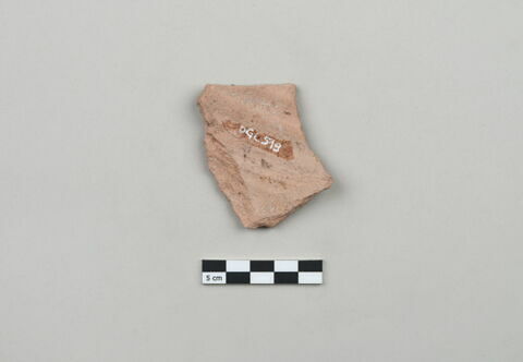 ostracon, image 2/4