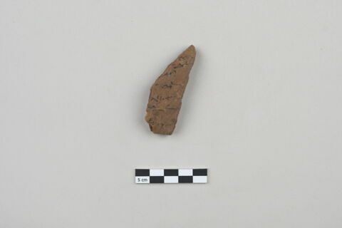 ostracon, image 1/3