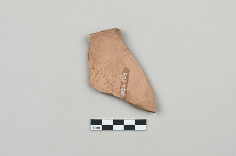 ostracon, image 2/4