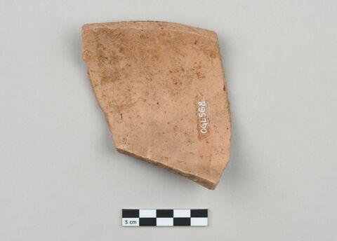 ostracon, image 2/4