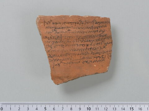 ostracon, image 3/4