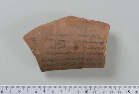 ostracon, image 3/4