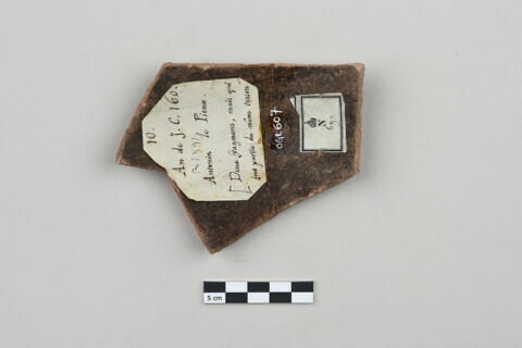 ostracon, image 2/4