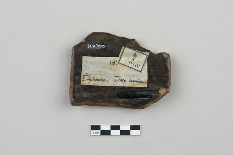 ostracon, image 2/4
