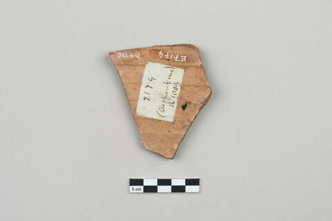 ostracon, image 2/4