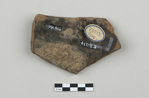 ostracon, image 2/3