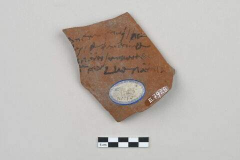 ostracon, image 1/3