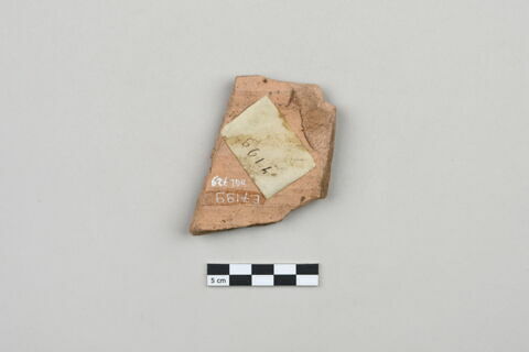 ostracon, image 2/4