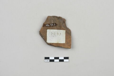 ostracon, image 2/4