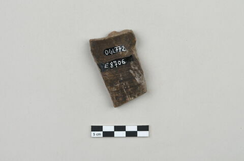 ostracon, image 2/3
