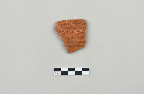 ostracon, image 1/4