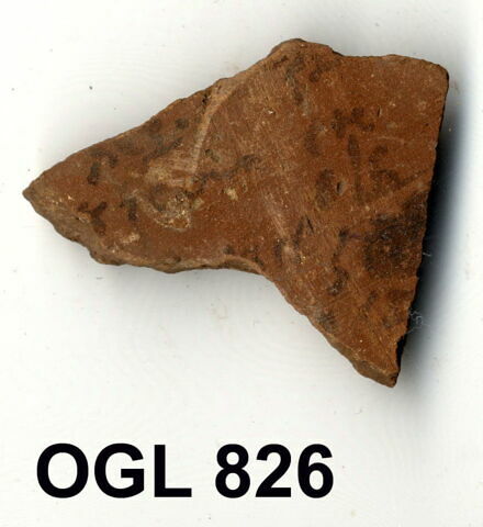 ostracon, image 1/1