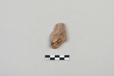 ostracon, image 2/3