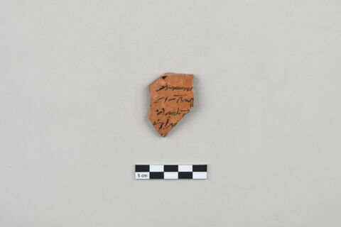 ostracon, image 1/3