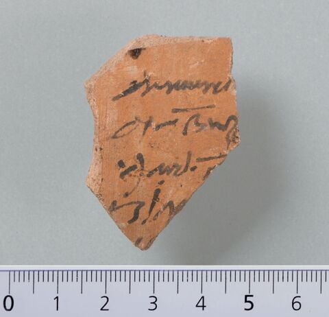 ostracon, image 1/4