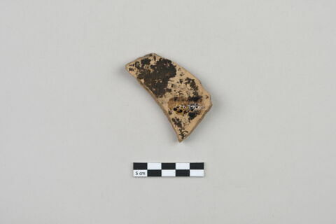 ostracon, image 2/3