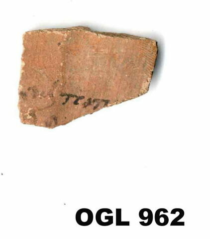 ostracon, image 1/1