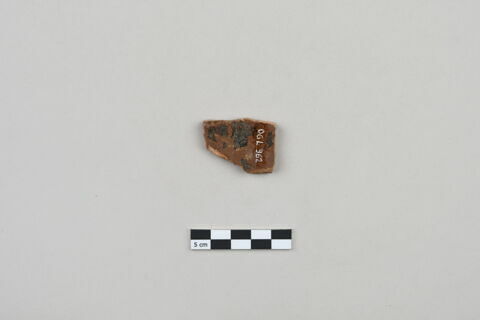 ostracon, image 2/3