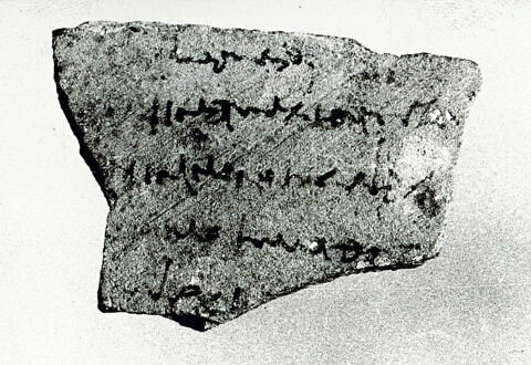 ostracon, image 1/1