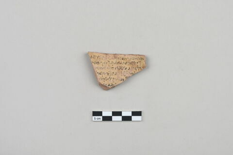 ostracon, image 1/3