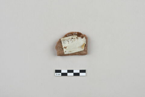 ostracon, image 2/3