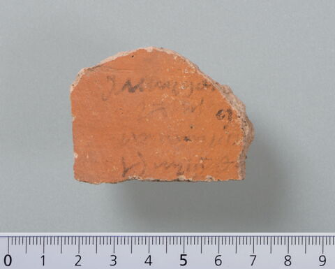 ostracon, image 1/4