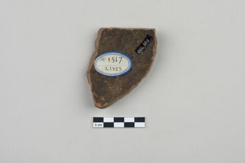 ostracon, image 2/3