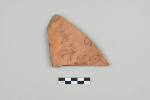 ostracon, image 2/4