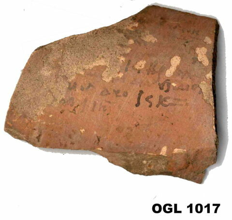 ostracon, image 1/1