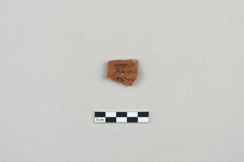 ostracon, image 1/3