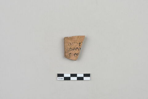 ostracon, image 1/3