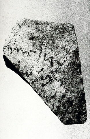 ostracon, image 1/1
