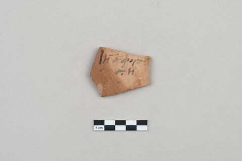 ostracon, image 1/3