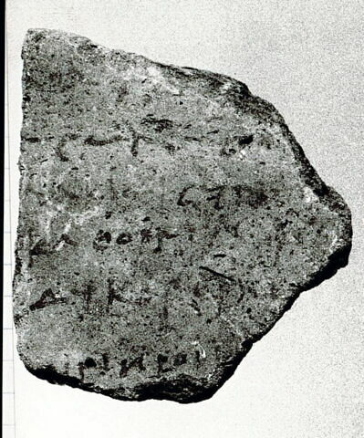 ostracon, image 1/1
