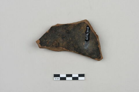 ostracon, image 2/3