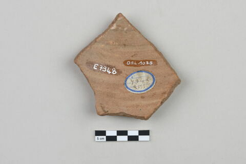 ostracon, image 2/3