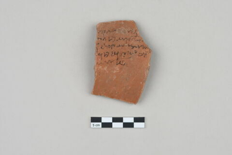 ostracon, image 1/3