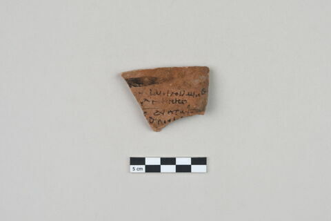 ostracon, image 1/3