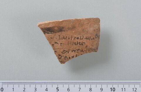ostracon, image 1/4