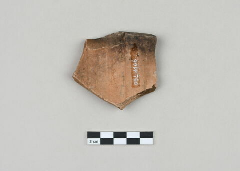 ostracon, image 2/3