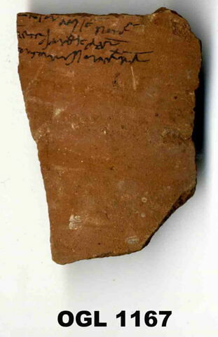 ostracon, image 1/1